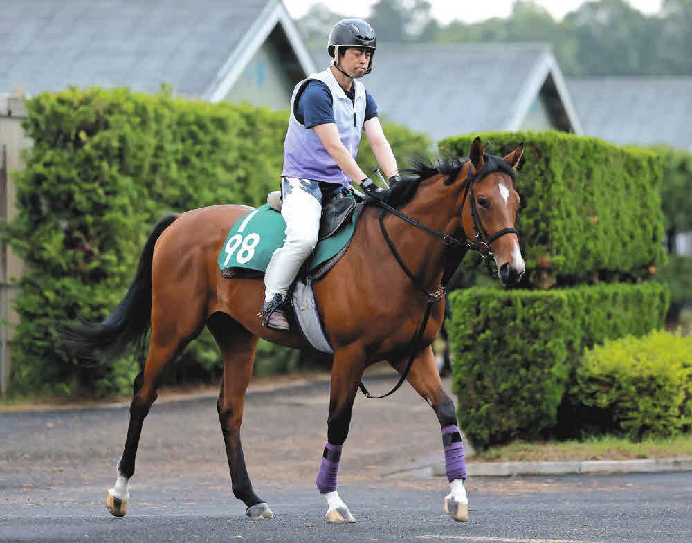 阪神9R・エリカ賞】4番人気コロナドブリッジが逃げ切り勝ち C