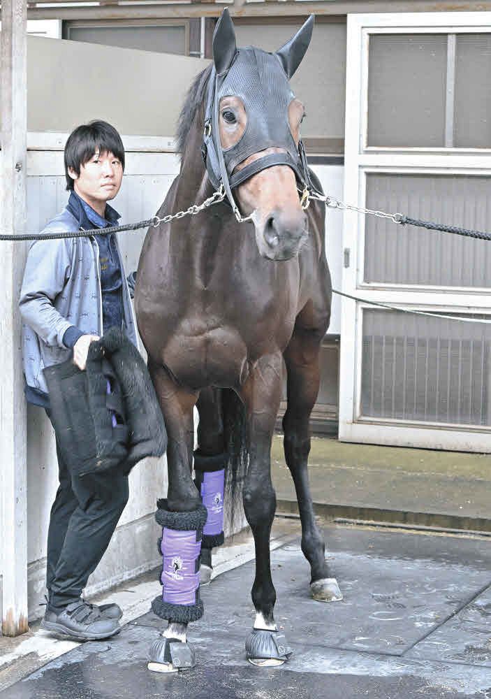 日本ダービー】初の関東入りにもショウヘイ動じず 府中に午後到着