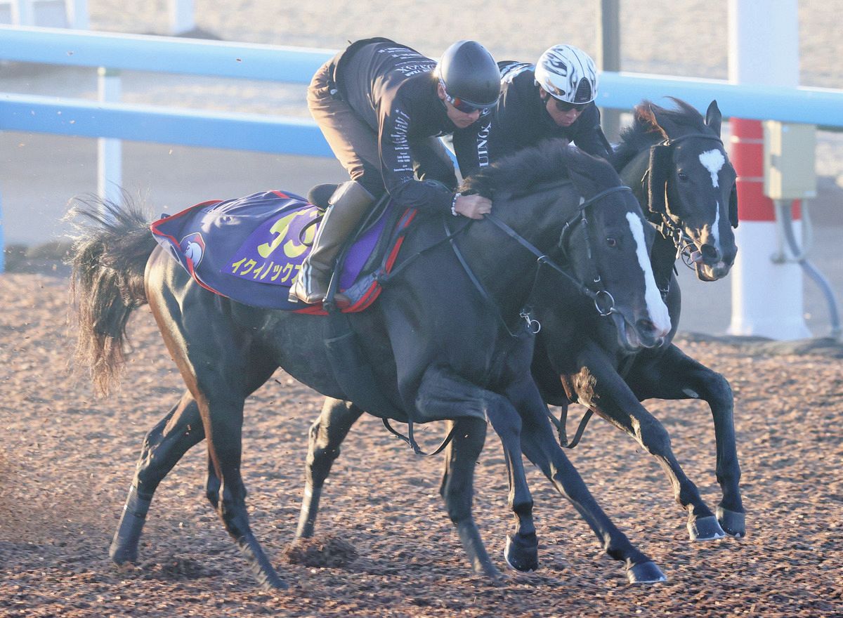 天皇賞・秋】3歳馬イクイノックスがG1初制覇 | 競馬ニュースなら