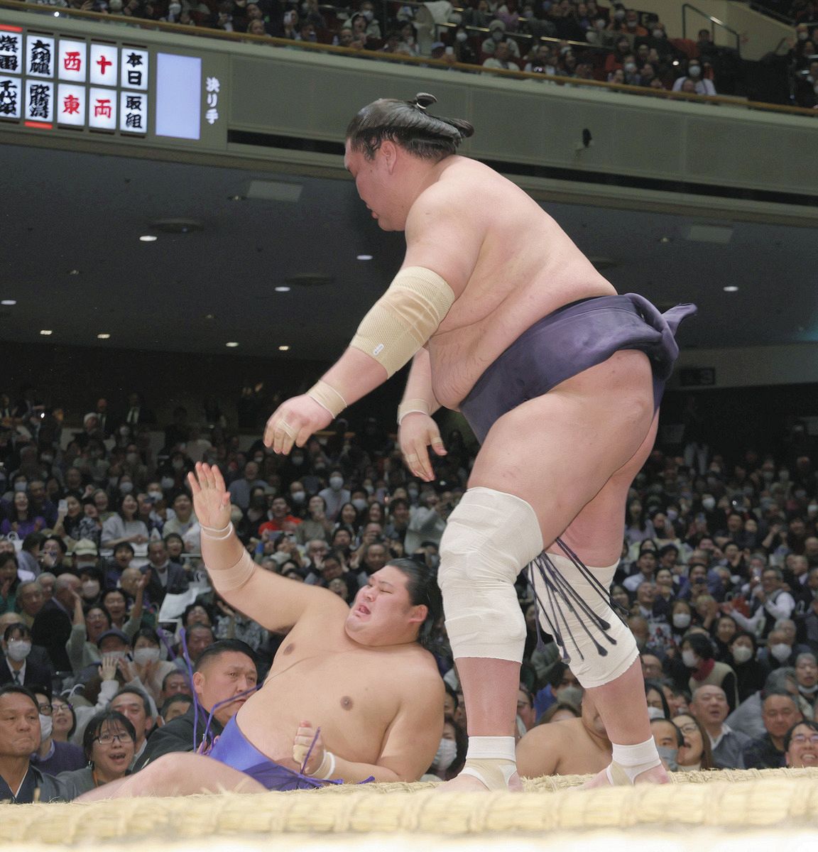大相撲 伊藤園 おーいお茶 アクリルスタンド 限定品 照ノ富士 大の里
