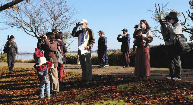 青空の下、金山晃さん（左）の案内で野鳥観察する参加者＝小松市の木場潟公園で 