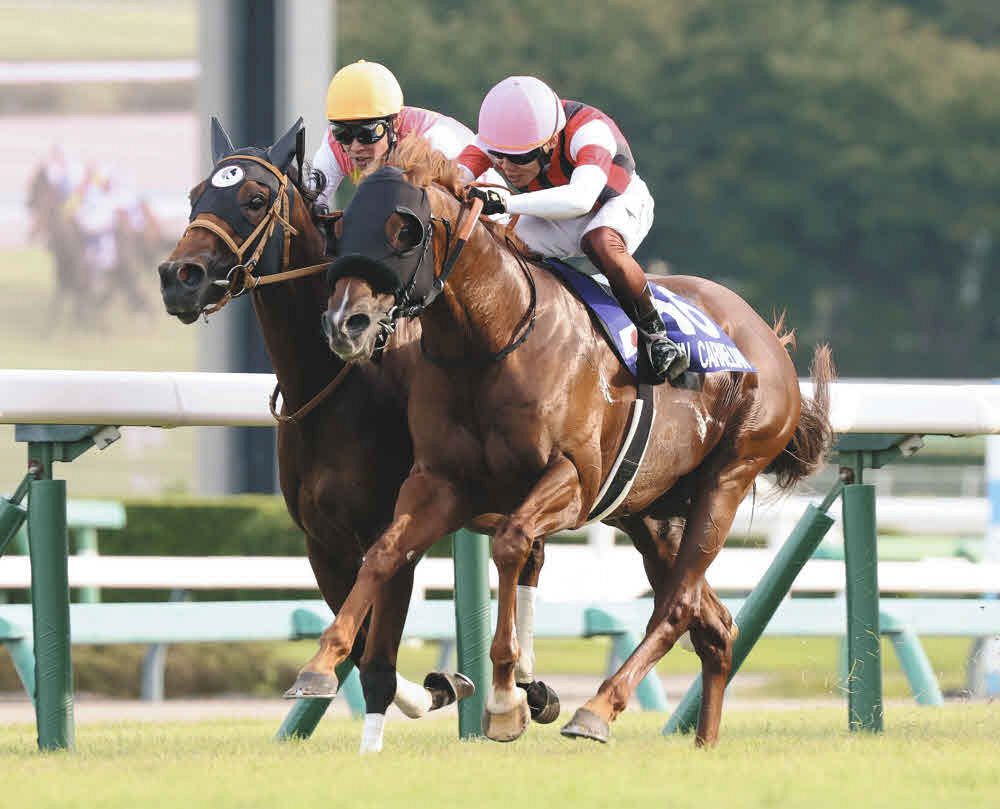 スプリンターズS】G1騎乗127戦目で念願の勲章を手にした三浦皇成