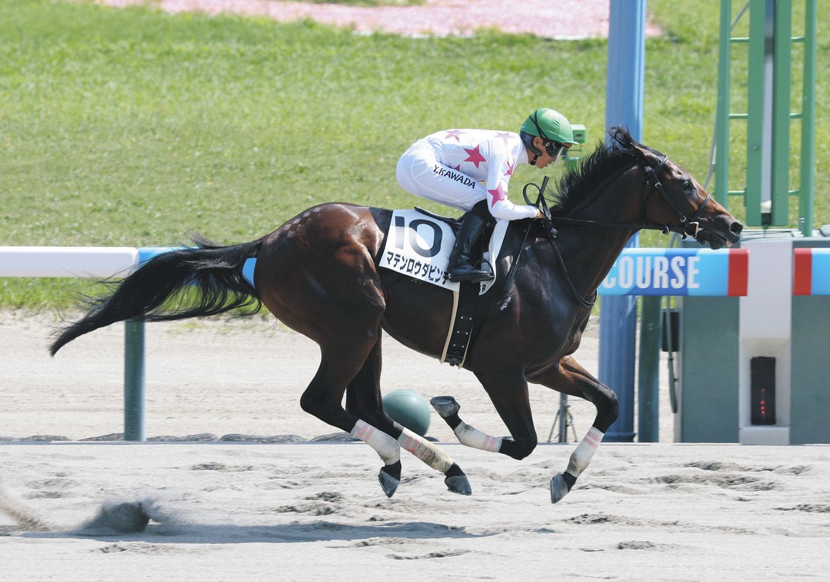 新潟6R新馬】1番人気のマテンロウダビンチが後続に6馬身差をつけて圧勝