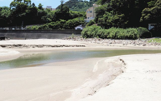 ウミガメ上陸する浜 ピンチ 大泊海水浴場 熊野宮川の水流入 中日新聞web