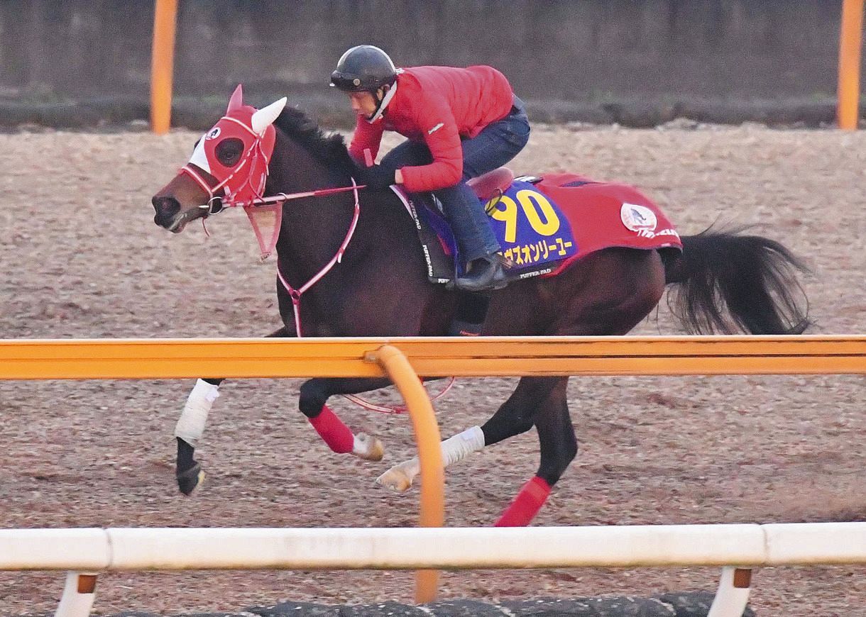 トライアビット』装着のラヴズオンリーユー 復活勝利へ「よりよい方向 