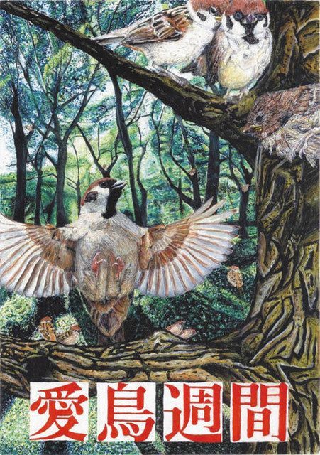 岡本さんと中川さんに最高賞 愛鳥週間ポスター原画、県内入賞決まる