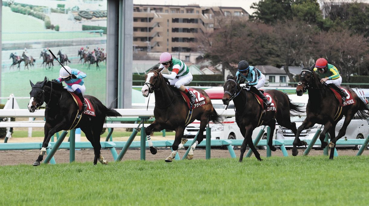 スプリングs 3着のサトノヘリオス 皐月賞挑戦へ 岩田望 これなら本番が楽しみ 中日スポーツ 東京中日スポーツ