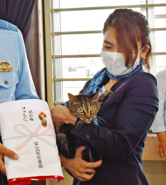 ココだニャア 転落男性を“発見” 富山で猫お手柄：北陸中日新聞Web