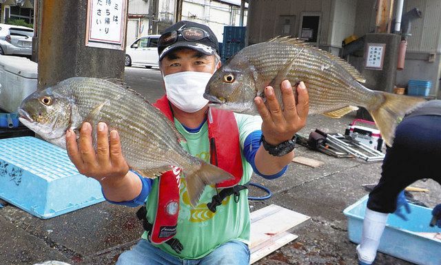 ヘダイ年なし不発 雪辱ならず４２センチ頭４匹 三重県熊野市 二木島湾カセ 中日スポーツ 東京中日スポーツ