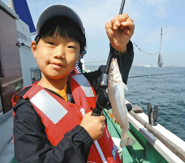 江戸前の人気者キス 今年は良型 東京深川 冨士見 から出船 中日スポーツ 東京中日スポーツ 江戸前の人気者キス 今年は良型 東京深川 冨士見 から出船 中日スポーツ 東京中日スポーツ