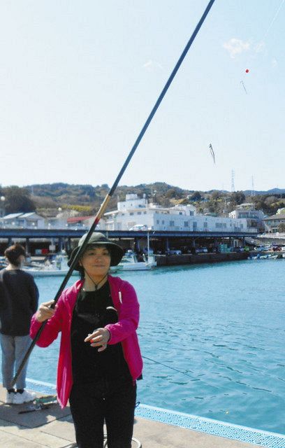 多彩な魚種が楽しめる小田原漁港へ イワシ入れ食いにキス メジナなど 中日スポーツ 東京中日スポーツ