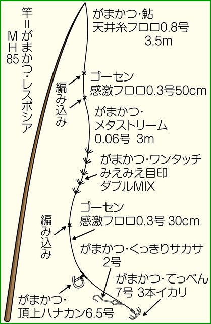 池田健吾の爆釣天国 山梨県笛吹川でアユ試し釣り 中日スポーツ 東京中日スポーツ