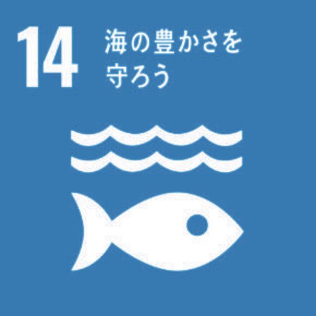 石川中央魚市(金沢市) 午前8時台に「朝競り」実施:北陸中日新聞Web