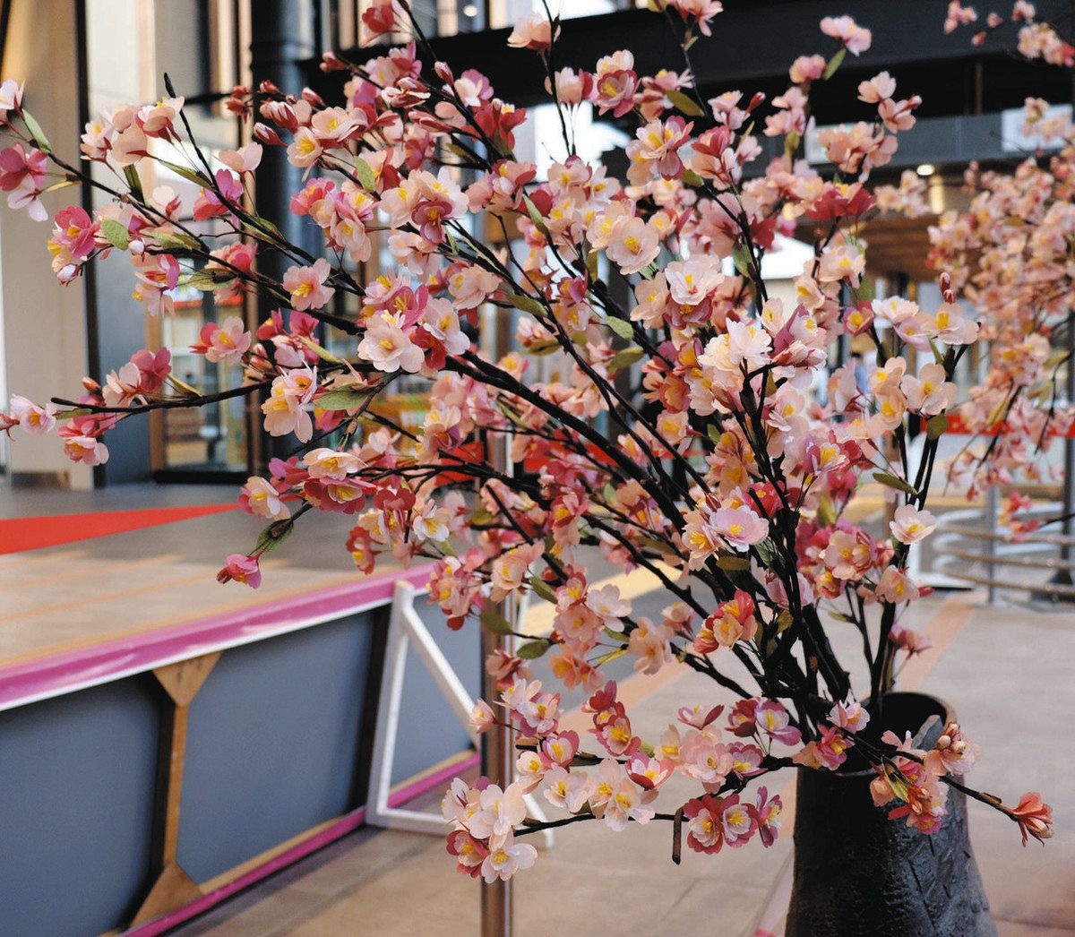 【Jyunko829】ふくい桜まつり関連商品 ネット限定】 Jyunko829】ふくい桜まつり関連商品