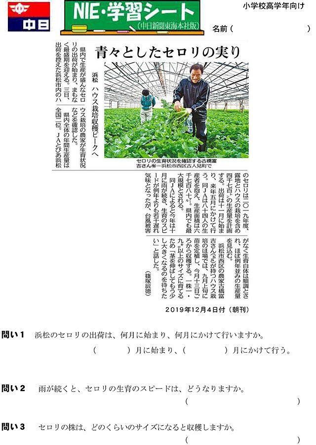 青々としたセロリの実り 中日新聞しずおかweb