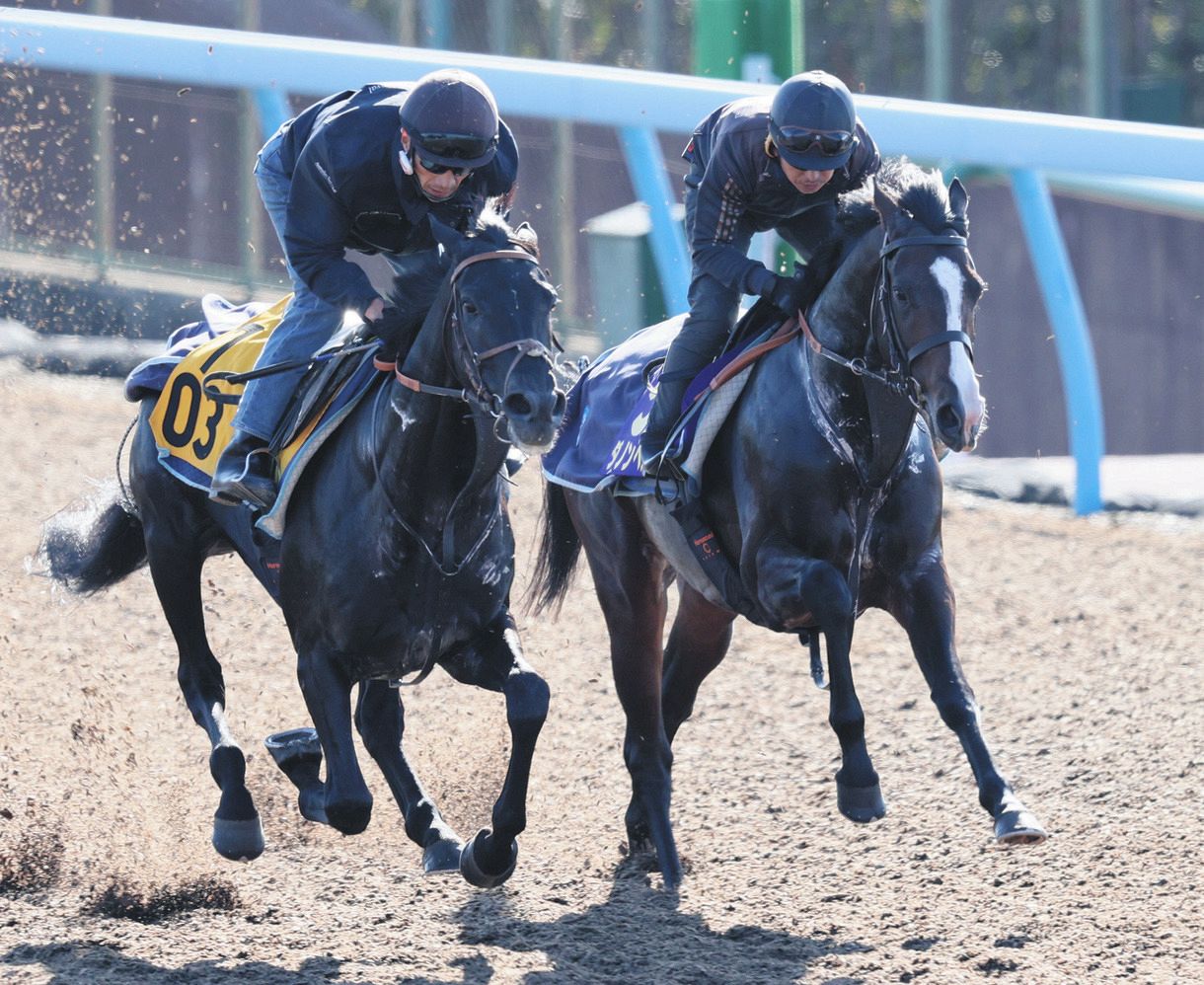 ダノンベルーガ、今週は『静』 古馬初対戦へ堀師「息を整える程度