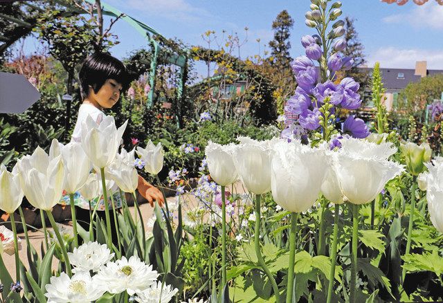 咲き誇る季節の花 浜名湖ガーデンパークで春フェスタ 中日新聞しずおかweb