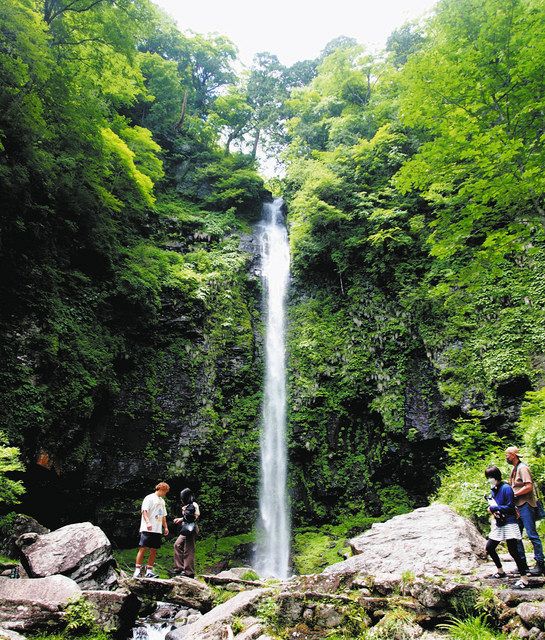 滝開き、3年ぶり 白鳥・阿弥陀ケ滝：中日新聞Web