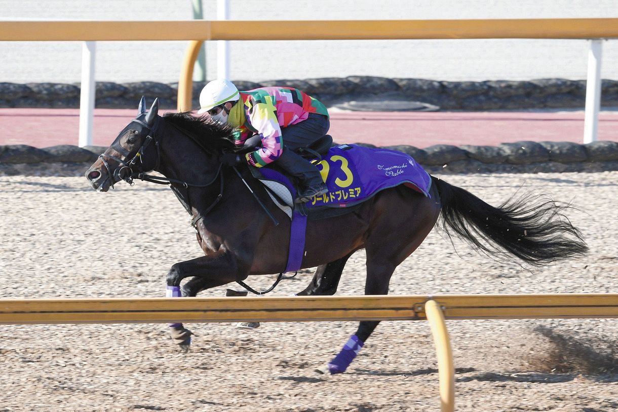 有馬記念 落ち着き払った ワールドプレミアに友道師 1回使って いい方に向かっている 中日スポーツ 東京中日スポーツ