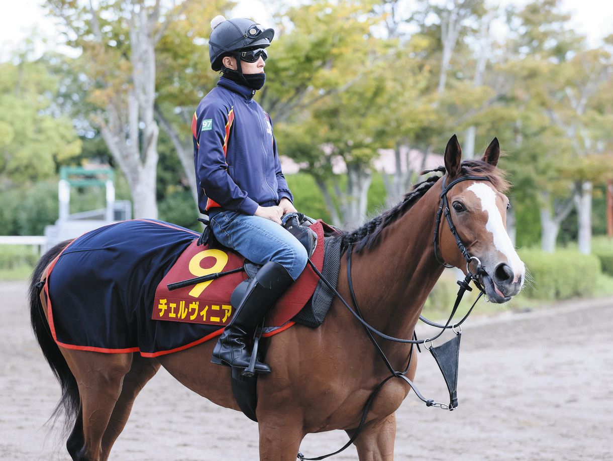 秋華賞】チェルヴィニアが制しオークスとの牝馬2冠達成 桜花賞馬ステ