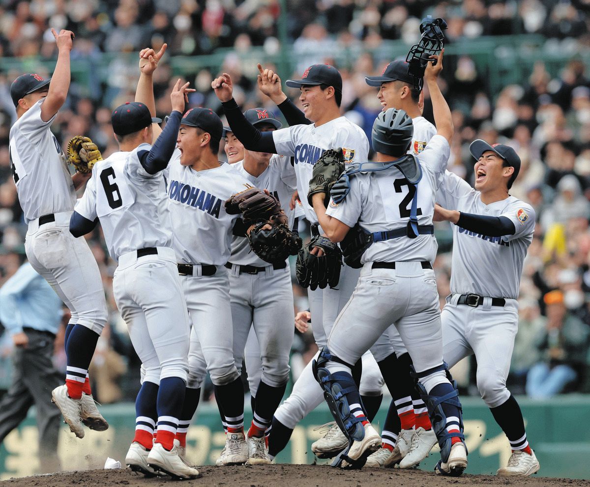 選抜優勝　横浜高校野球部　応援用　バスタオル　横高　甲子園　センバツ　神奈川 選抜優勝 横浜高校野球部 応援用 バスタオル 横高 甲子園