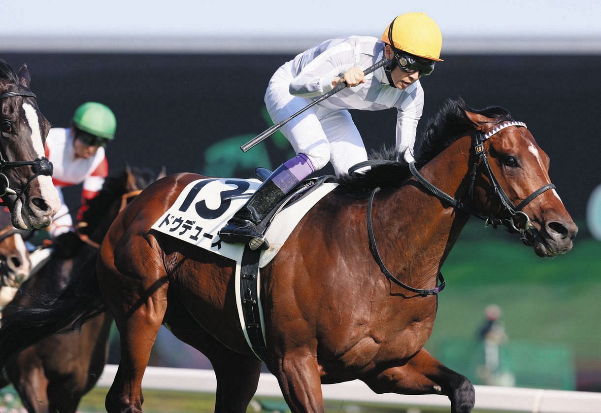 ドウデュースは不良馬場も持ったままで全然苦にせず「予定通り順調にき