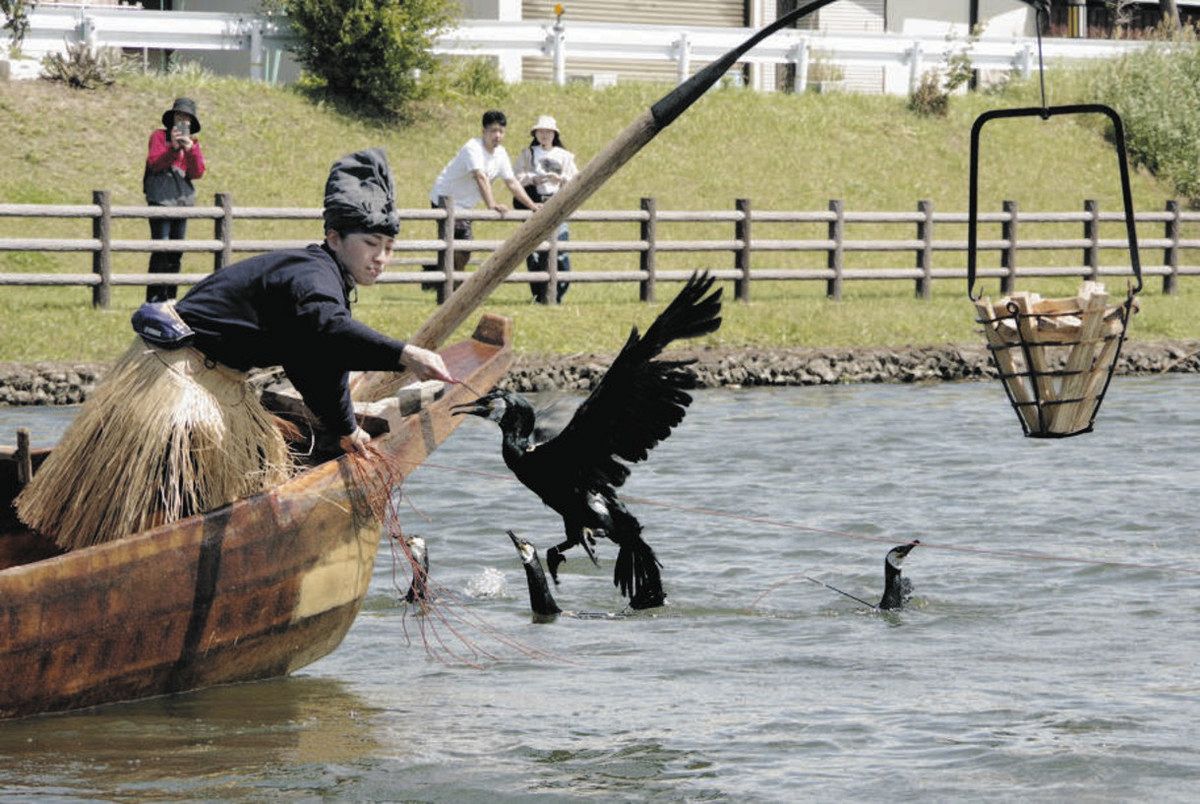 蟹江川で光る鵜匠の技 「水郷の町」で伝統漁法披露：中日新聞Web