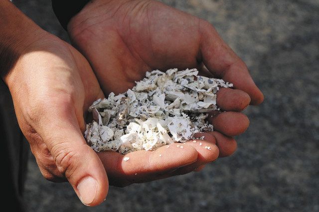 肥料に使われるウズラの卵の殻＝豊橋市飯村北で 