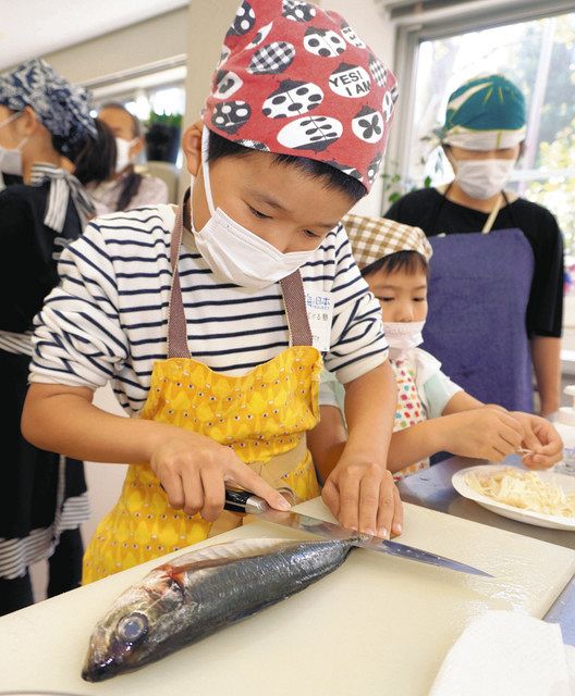 魚のさばき方 プロに学ぶ SEO富山校で親子19人が講習:北陸中日新聞Web