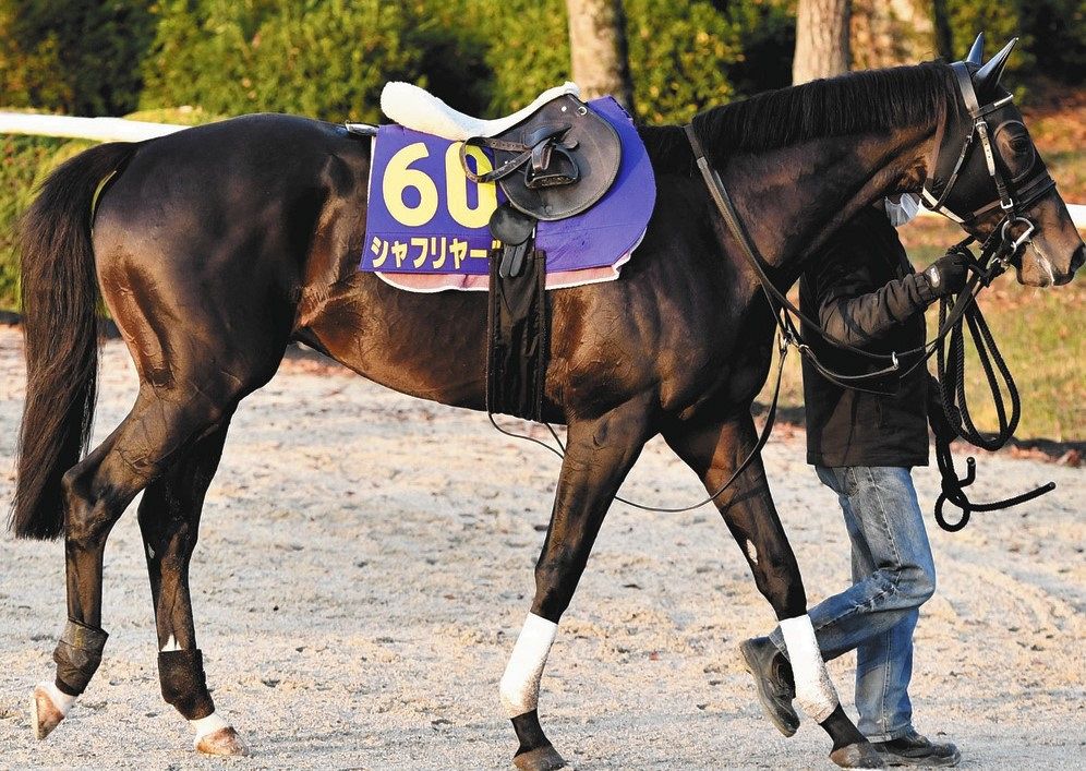 強い3歳世代の意地は見せた 3着シャフリヤール、先輩ダービー馬
