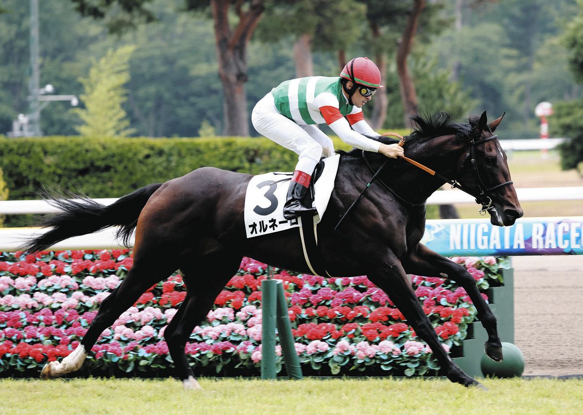 サトノダイヤモンド 新馬戦〜天皇賞・春２歳から４歳国内全９戦現地単勝 新潟2R新馬】1番人気に応えオルネーロが会心の逃げ切り ルメール