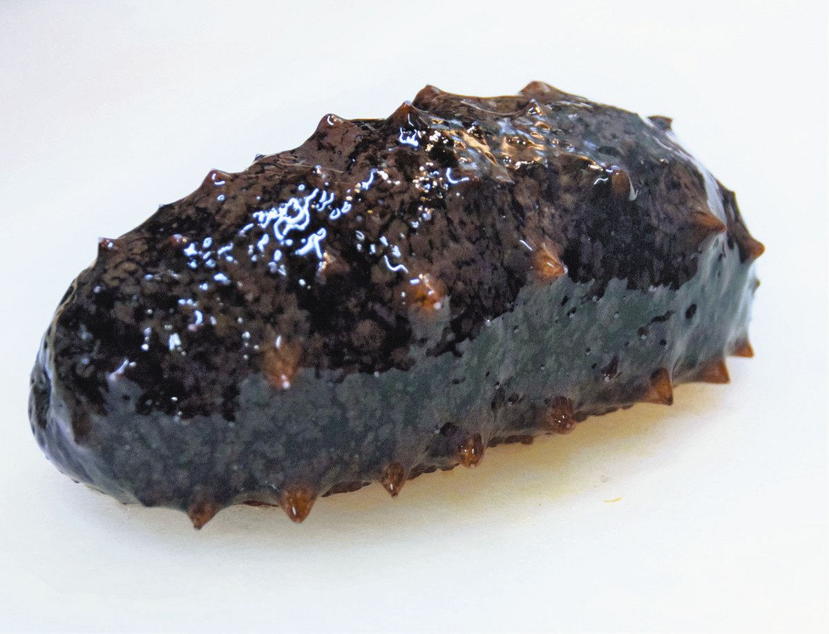 みえFOOD記＞ 鳥羽・志摩のナマコ：中日新聞Web