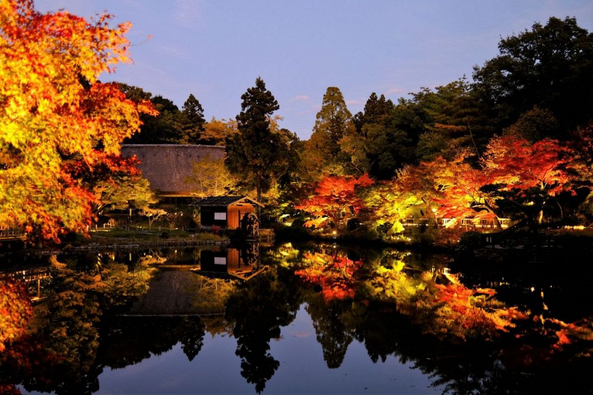 Illuminate Autumn Foliage at Higashiyama Zoo and Botanical