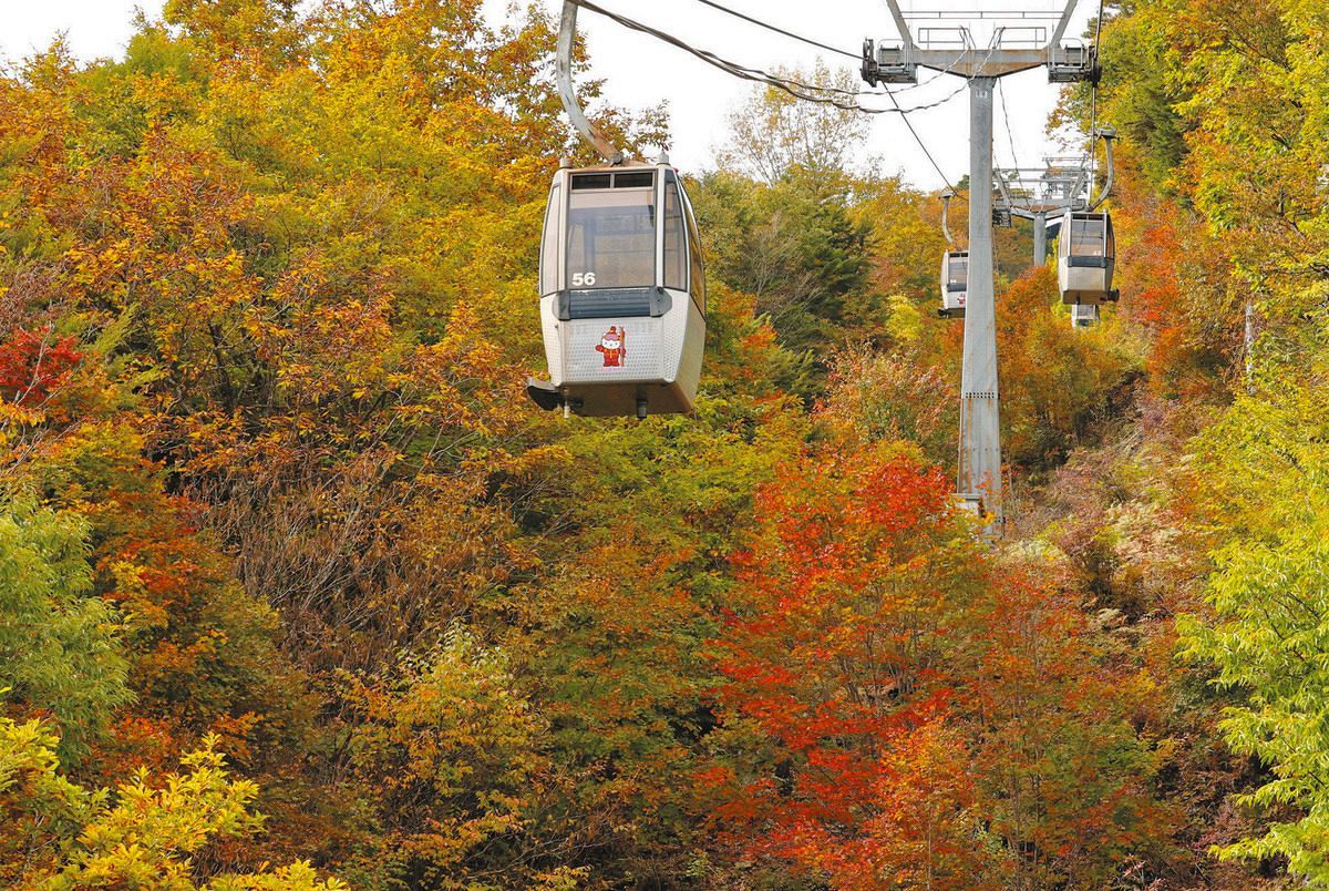 紅葉絶景、標高1600メートルの展望台から 長野・阿智村「ヘブンスその