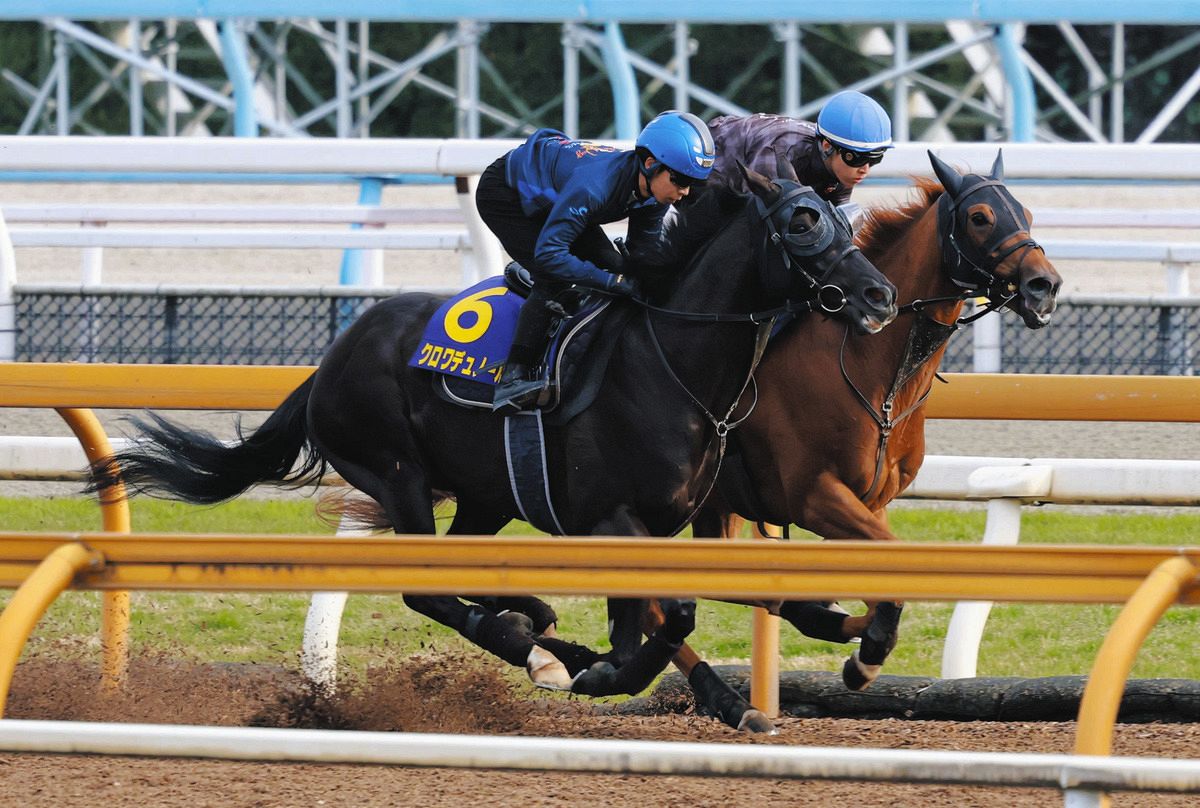 天皇賞春・枠順決定】大阪杯制したクロワデュノールは4枠7番 斉藤崇師