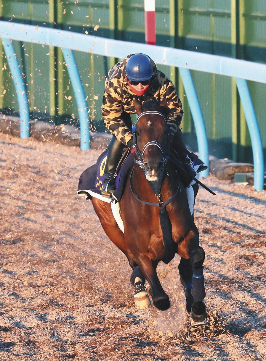 有馬記念 ルメール いい枠番 フィエールマン 7枠13番 に 自信あります 中日スポーツ 東京中日スポーツ 有馬記念 ルメール いい枠番 フィエールマン 7枠13番 に 自信あります 中日スポーツ 東京中日スポーツ