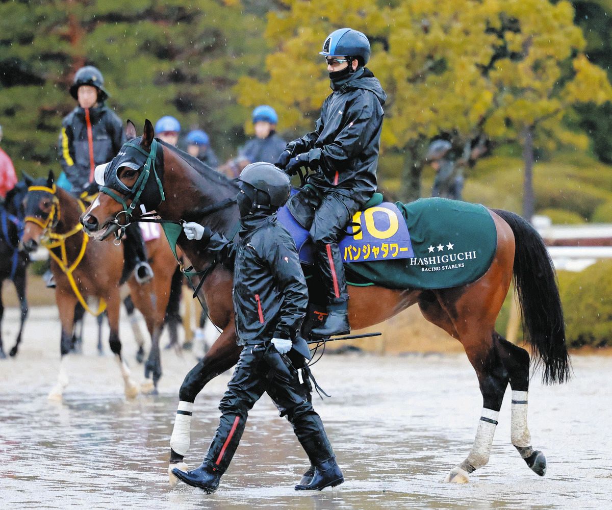 高松宮記念】サウジ遠征から帰厩パンジャタワーは検疫で厳しい日程