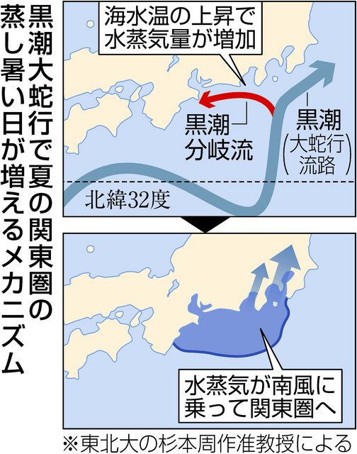 黒潮大蛇行で関東蒸し暑く 東北大准教授ら研究 不快日 ６割増 中日新聞web