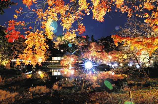 伊豆市修善寺・虹の郷 見頃のモミジがライトアップ：中日新聞しずおかWeb