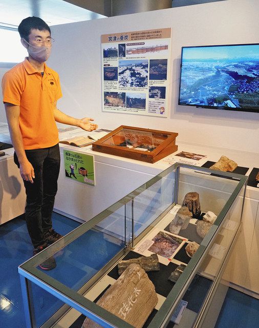 魚津産の木材化石紹介 埋没林博物館で企画展：北陸中日新聞Web
