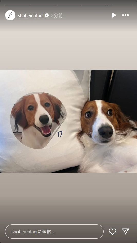 ◇デコピン、「デコピンクッション」と“ツーショット”【写真】：中日