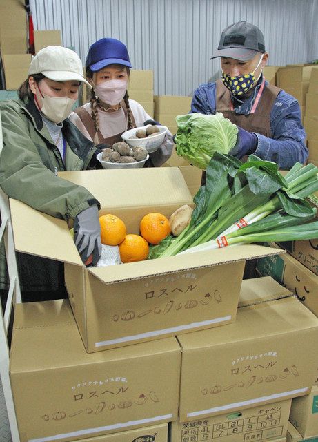 規格外野菜の宅配事業拡大 エクネス、倉庫兼集荷場スペース10倍に