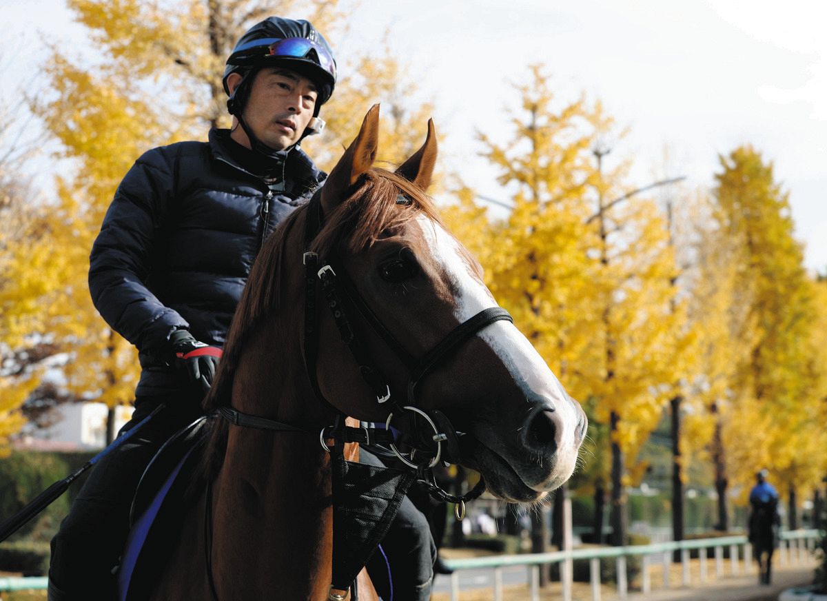 【マイルCS】「かみ合えば一発あってもいい」…トウシンマカオ3年半ぶりマイル戦に臨む 初コンビの団野大成「距離が延びてどうかだが」：中日 ...