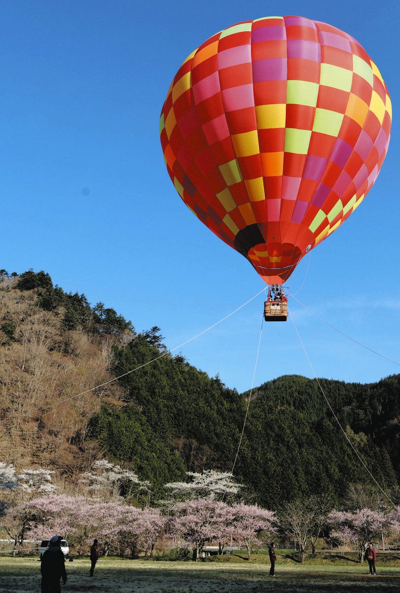 気球に乗り花見楽しむ 高山・パスカル清見芝生広場：中日新聞Web