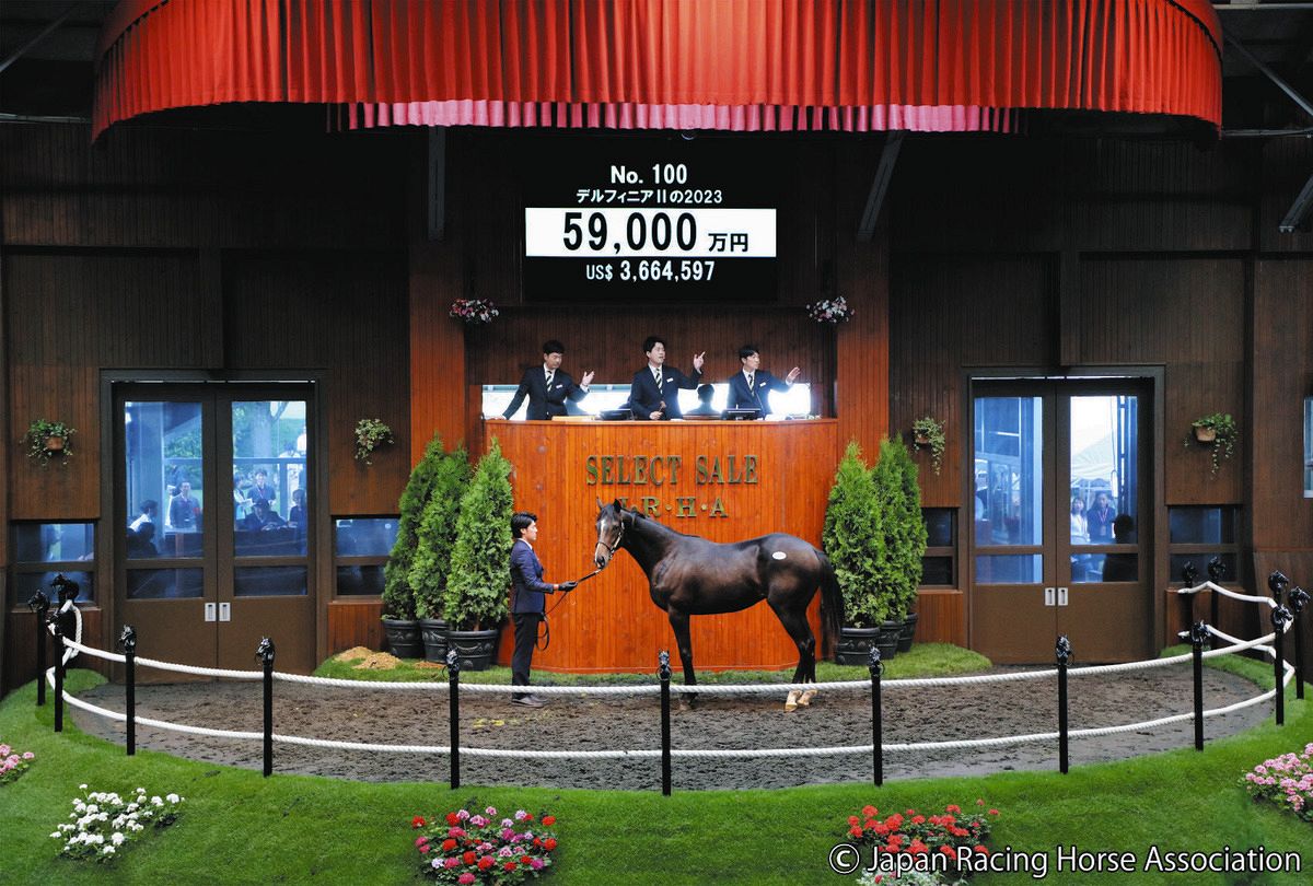 セレクトセールは今年もキタサン”まつり”1歳史上初の5億9000万円、牝馬