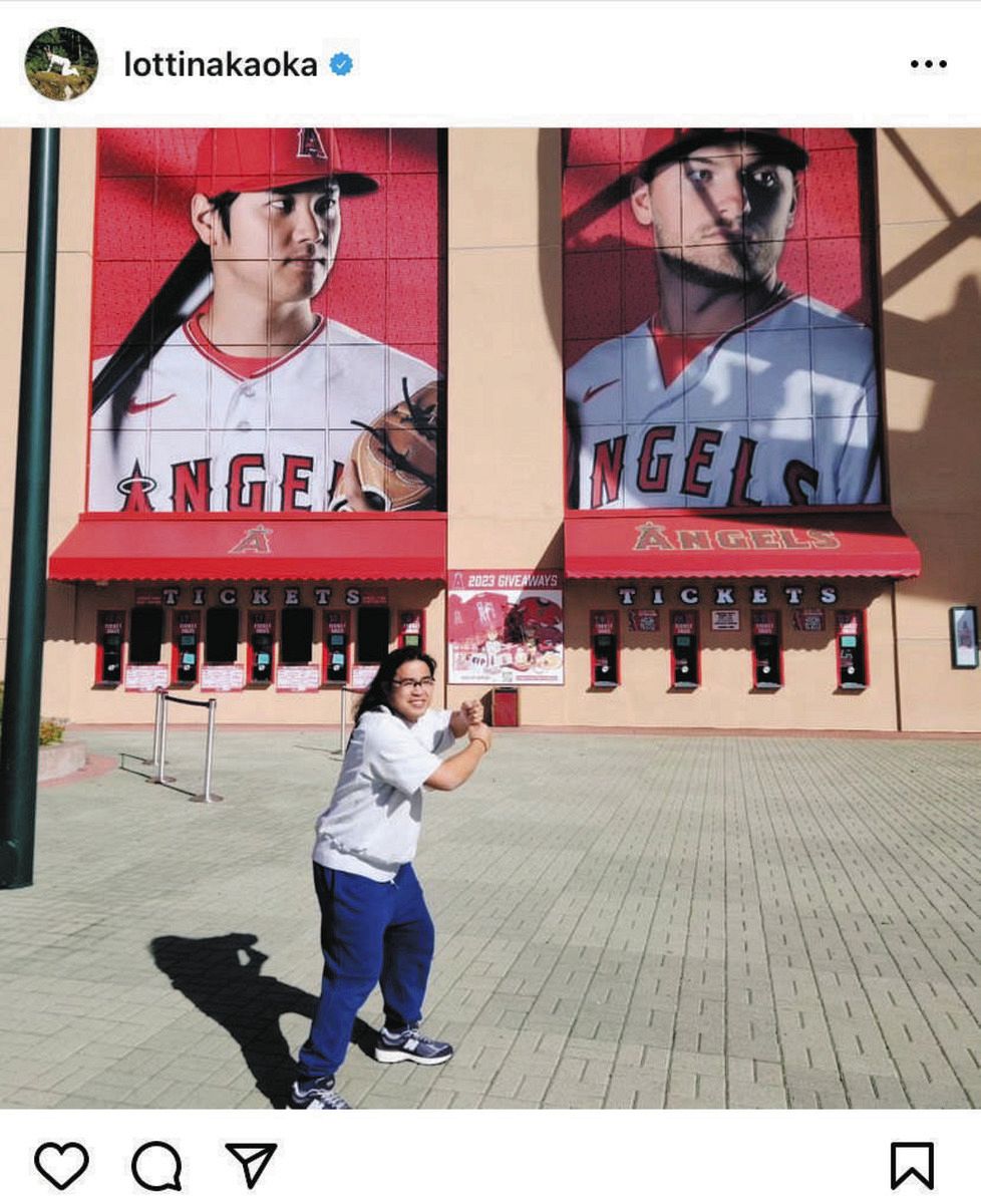 大谷翔平エンジェルス　ルーキーカ−ドセット 2026 WORLD BASEBALL CLASSIC オフィシャルグッズ | エンスカイスポーツ