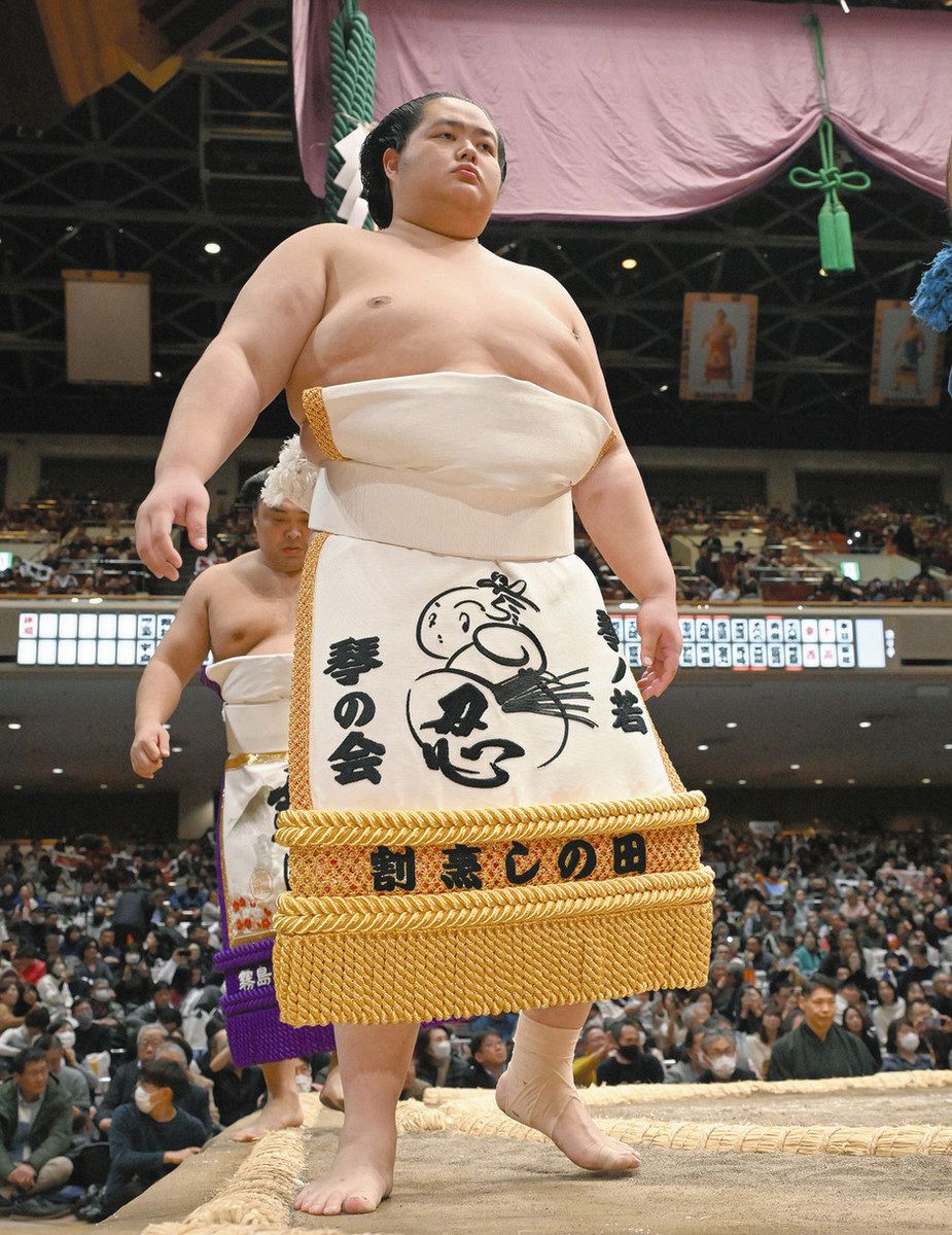 山県の神仏絵師が琴ノ若関の化粧まわしをデザイン 「お披露目楽しみ