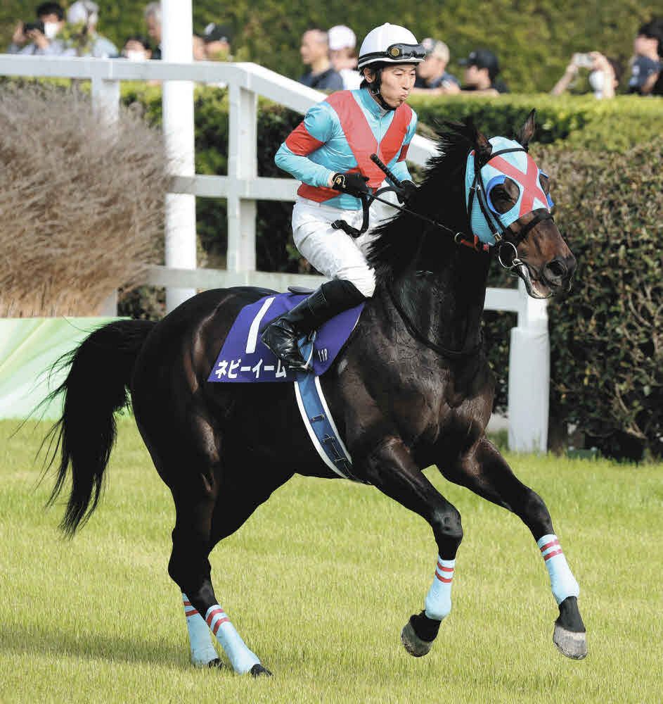 熊沢重文さんの二刀流予想】阪神JS◎は逆転ありネビーイーム、格と実績