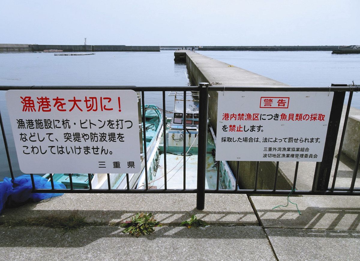 波切漁港・中堤には「港内禁漁区につき魚貝類の採取を禁止します」の警告が