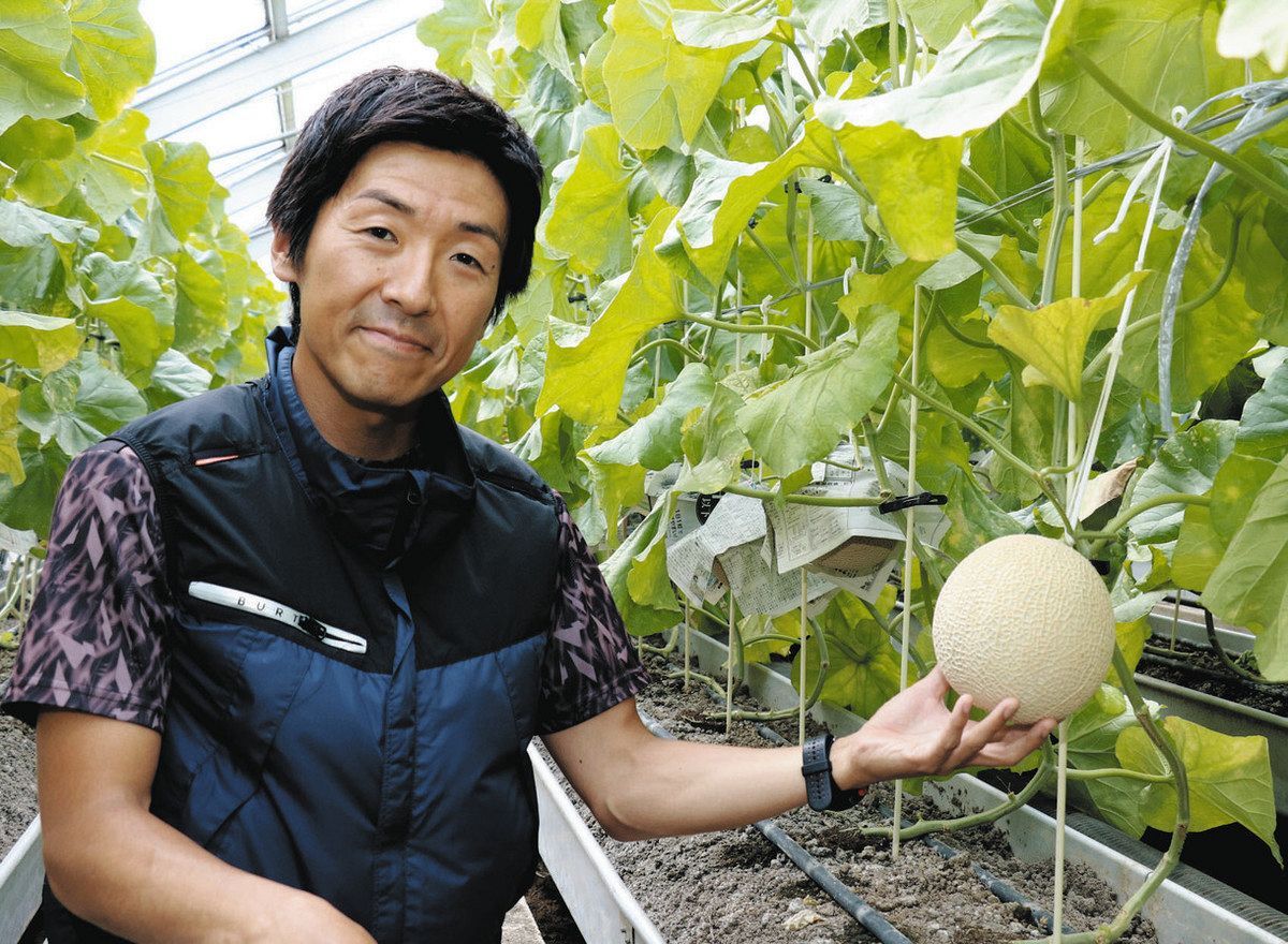 33年ぶりにクラウンメロンの新人農家誕生 磐田の須山さん、愛情込め初